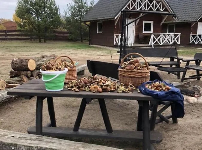 Stajnia Zwierzyniec Domek alpejski Miedzychod